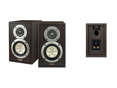 FOSTEX GX100BJ