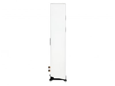 ELAC CARINA FS247.4
