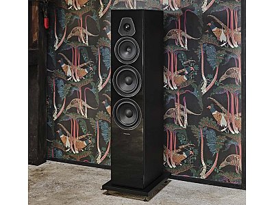 SONUS FABER LUMINA V