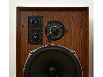 CELESTION DITTON 25