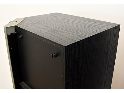 CELESTION 3000