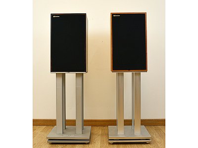EXTREMAVOICE FSC FUNDAMENTAL