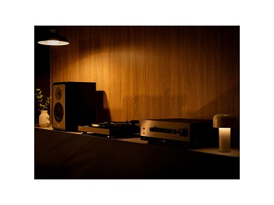 YAMAHA TT-S303