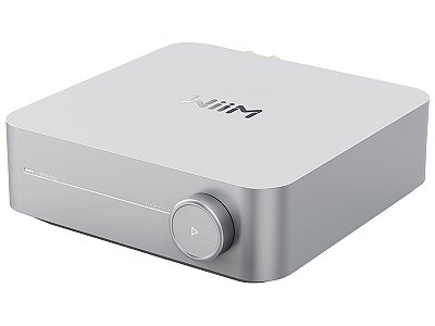 WIIM AMP