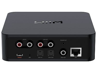 WIIM PRO