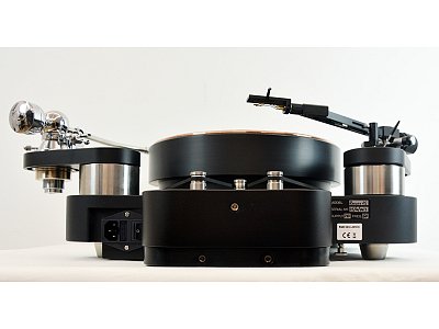 TW ACOUSTIC RAVEN LS