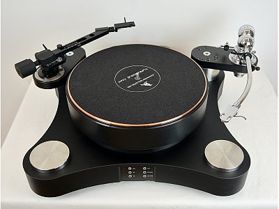 TW ACOUSTIC RAVEN LS