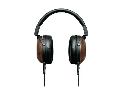 FOSTEX TH-610