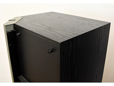 CELESTION 3000