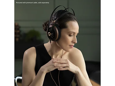 MEZE AUDIO 109 PRO