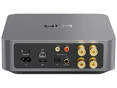 WIIM AMP WIIM AMP