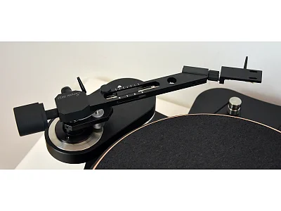 TW ACOUSTIC RAVEN LS