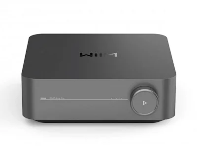 Wiim WIIM AMP PRO