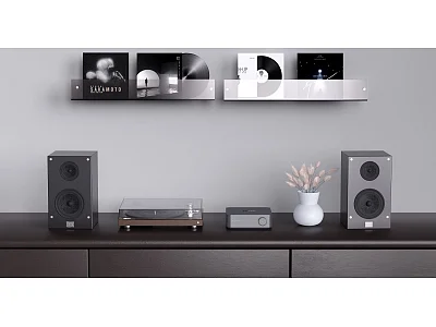WIIM AMP PRO WIIM AMP PRO
