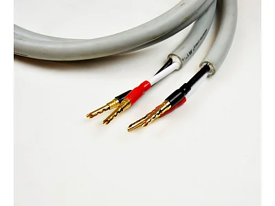 MONSTER CABLE 1.5 MT. (L+R) MONSTER CABLE 1.5 MT. (L+R)