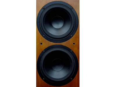 TANNOY REVOLUTION R3