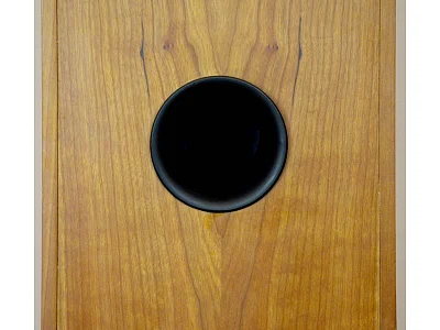 TANNOY REVOLUTION R3