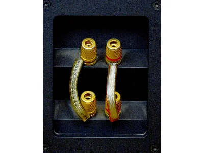 TANNOY REVOLUTION R3