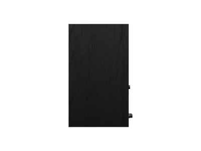 KLIPSCH R-50PM