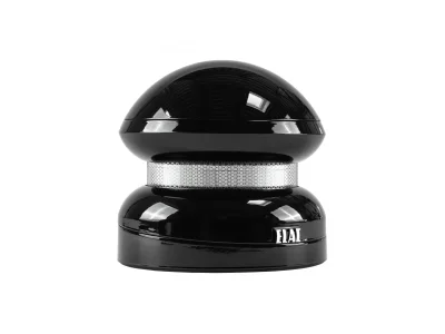 ELAC 4PI PLUS V