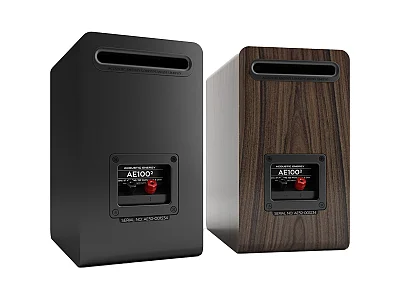 ACOUSTIC ENERGY AE 100 MK2 ACOUSTIC ENERGY AE 100 MK2