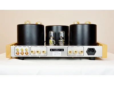 CONSONANCE M100S PLUS CONSONANCE M100S PLUS