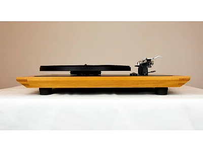 REGA PLANAR 25 + HEED ORBIT