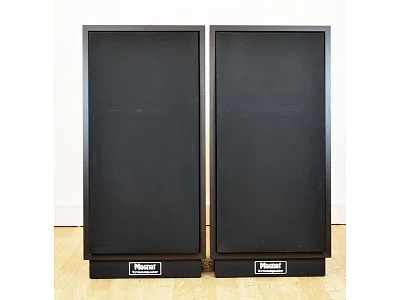 MAGNAT TRANSPULS 1000