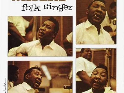 Sound and Music MUDDY WATERS: FOLK SINGER - MONO (CHESS RECORDS ACOUSTIC SOUNDS SERIES)