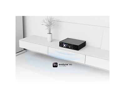 EVERSOLO T10