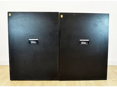 TANNOY ARDEN