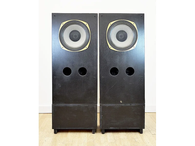Estro Armonico ESTRO ARMONICO TANNOY SRMX 12