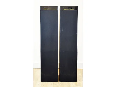 MERIDIAN DSP 5000 + MERIDIAN G01