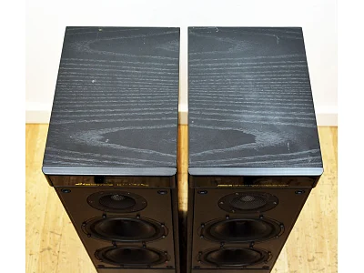 MERIDIAN DSP 5000 + MERIDIAN G01