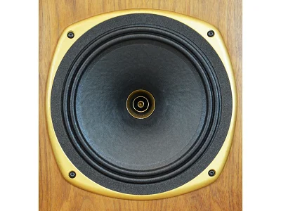 TANNOY STIRLING SE