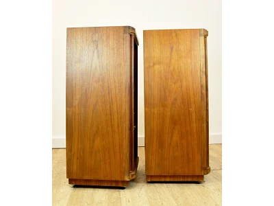 TANNOY STIRLING SE