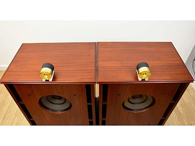 EXTREMA VOICE MINI ONKEN FULLRANGE EXTREMA VOICE MINI ONKEN FULLRANGE