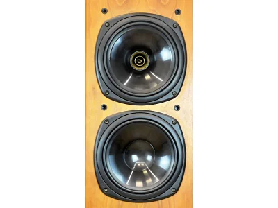 TANNOY D500