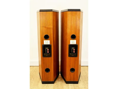 TANNOY D500