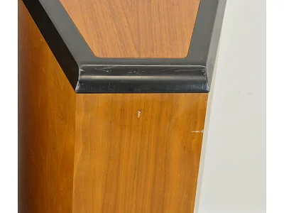 TANNOY D500
