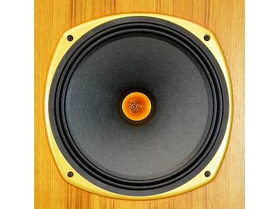 TANNOY YORKMINSTER SE TANNOY YORKMINSTER SE