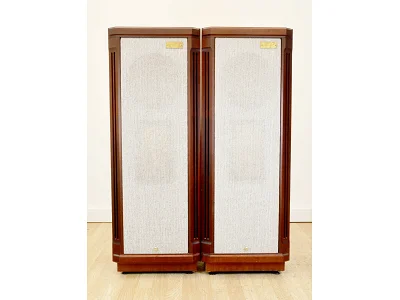 TANNOY KENSINGTON SE
