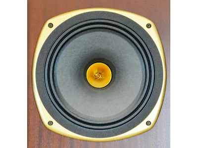 TANNOY KENSINGTON SE